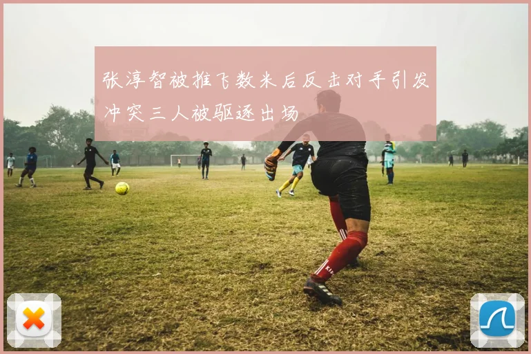 张淳智被推飞数米后反击对手引发冲突三人被驱逐出场