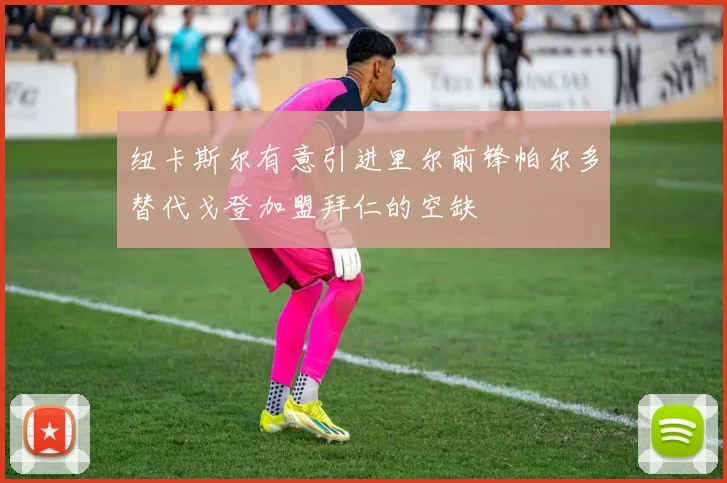 纽卡斯尔有意引进里尔前锋帕尔多替代戈登加盟拜仁的空缺