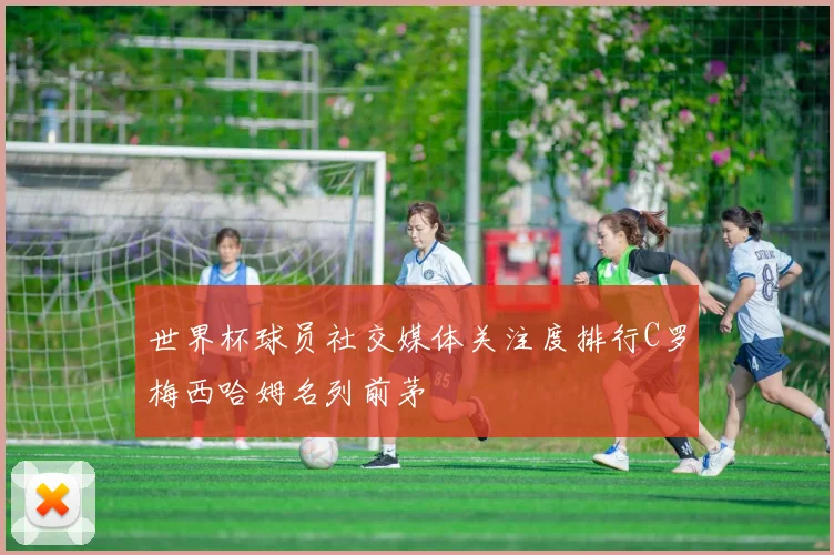 世界杯球员社交媒体关注度排行C罗梅西哈姆名列前茅